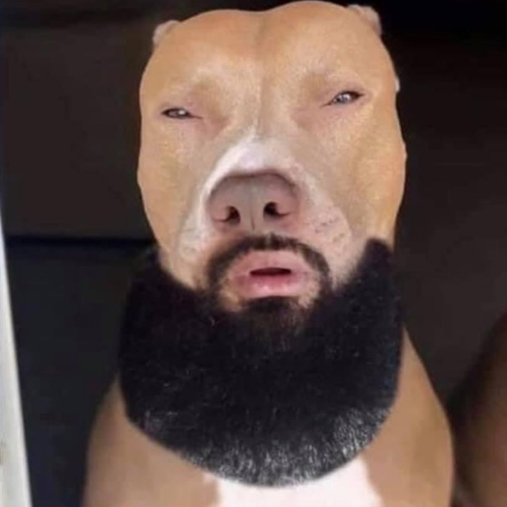 Meet your Posher, Johnathon